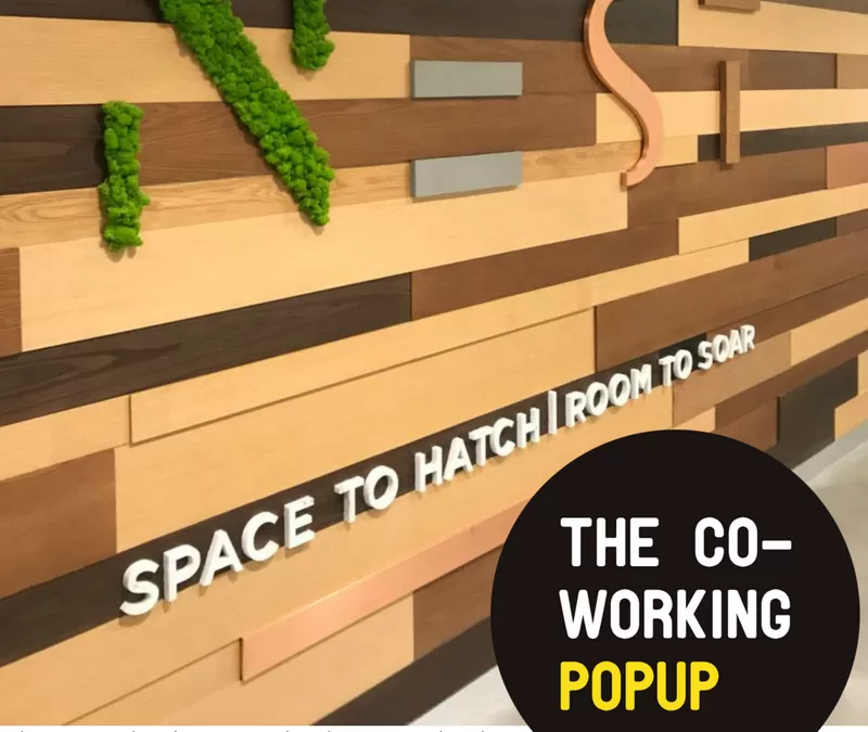 Episode 37 – Jessica Edwards & Shahzad Batti Talk Co Working in Dubai