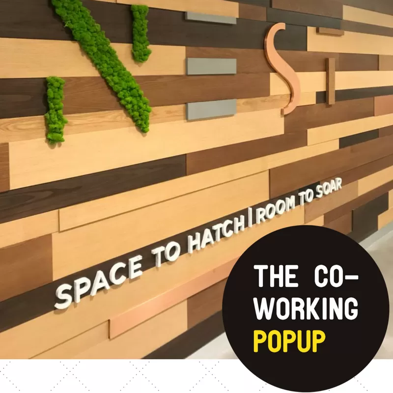 Episode 37 – Jessica Edwards & Shahzad Batti Talk Co Working in Dubai